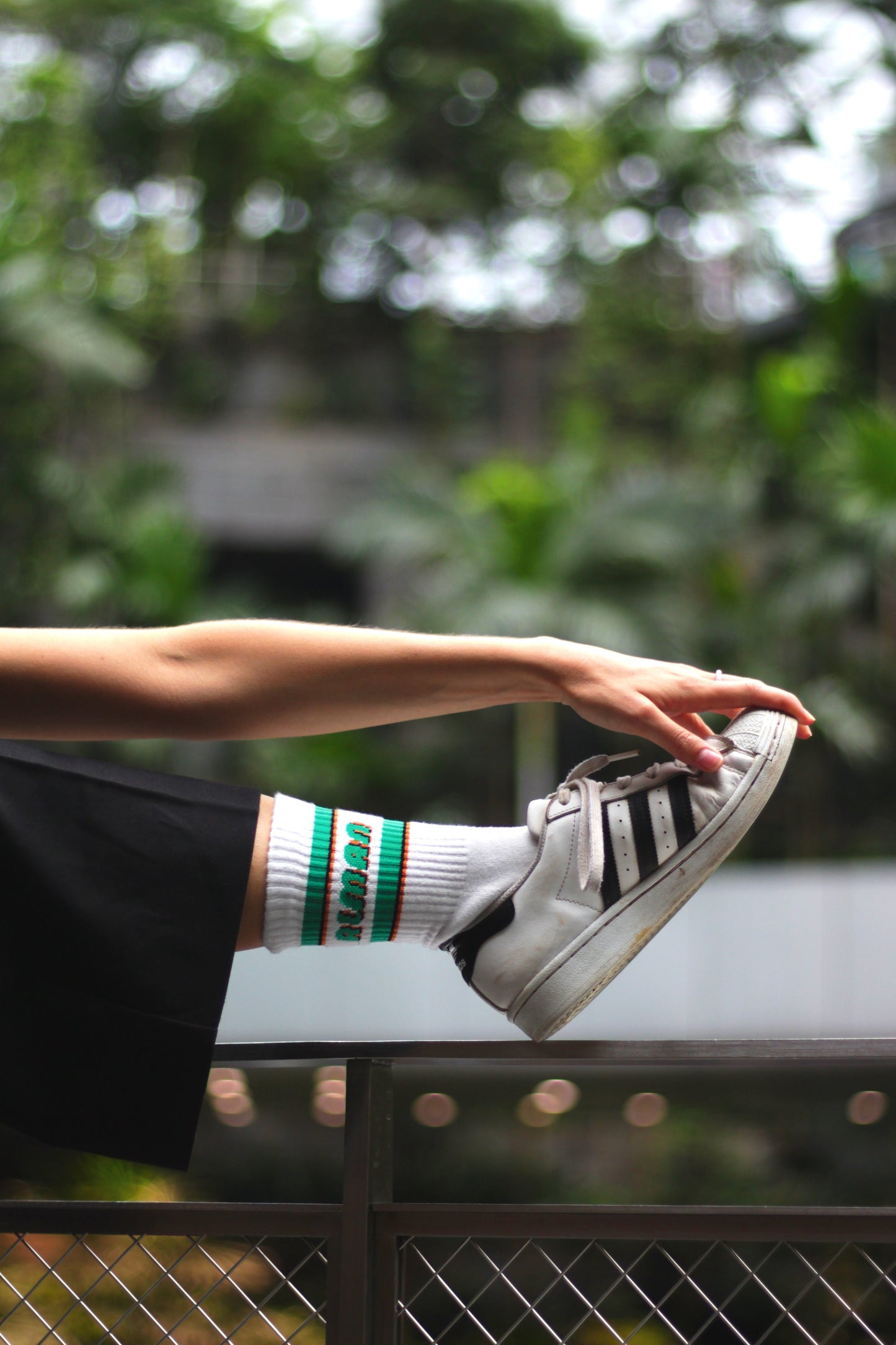 boston alman socken