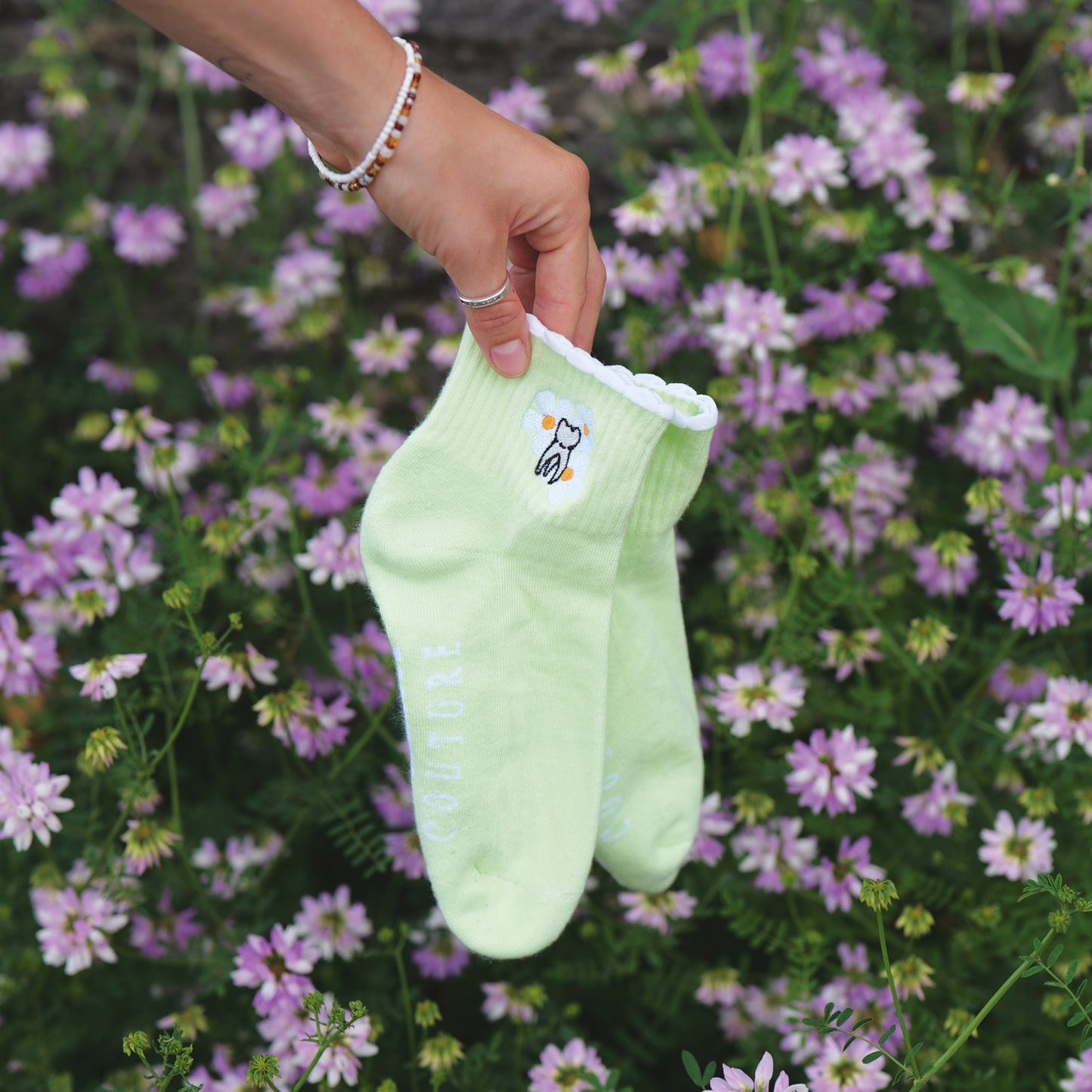 Daisys – Zahn-Blumen für warme Tage